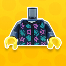 Torsos